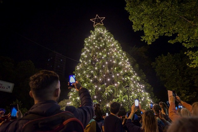 Hoy 8 de Diciembre se arma el Árbol de Navidad