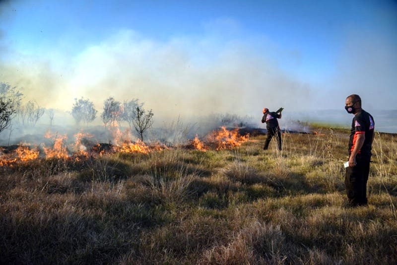 Probabilidades extremas de incendios para los próximos días en Mar del Plata