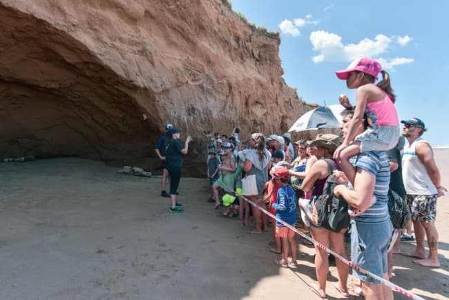 El Museo Scaglia organiza una Salida Entomológica a la Laguna de los Padres