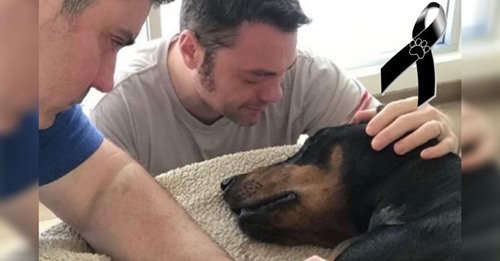 El cantante compartió con sus seguidores: Junto a su pareja llora la pérdida de su leal amiga