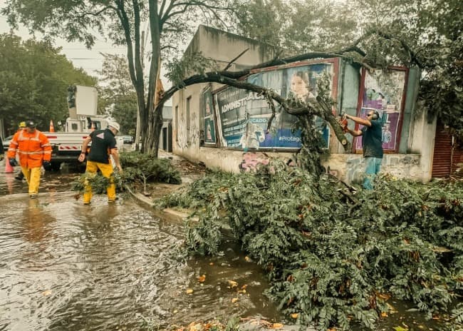 Leia Defensa Civil atendió 60 reclamos efectuados a la línea 103