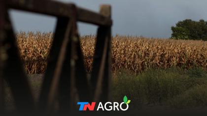  El sector del campo aportara u$s6800 millones por derechos de exportacion