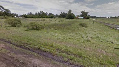  El dueño de los tres pitbulls que mataron a un turista en Miramar es inimputable