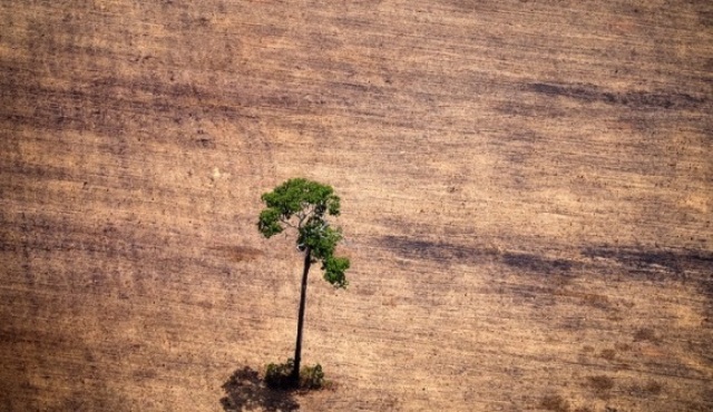Lanzan una consulta pública para colaborar en la estrategia nacional de cambio climático