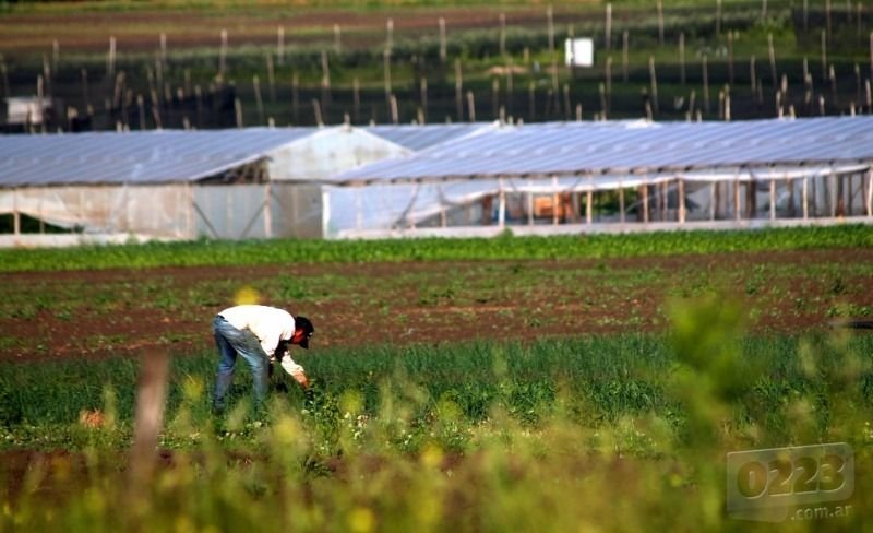 Preocupación de productores frutihortícolas por una resolución de Afip y Senasa