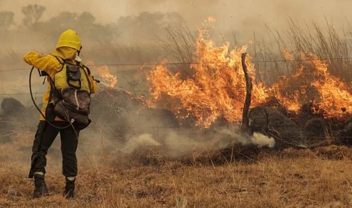 Incendios en Corrientes: ya son casi 800.000 las hectáreas afectadas