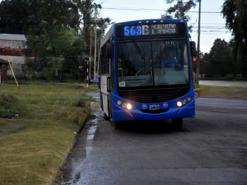 Le robaron el teléfono mientras esperaba el colectivo y un chofer la asistió