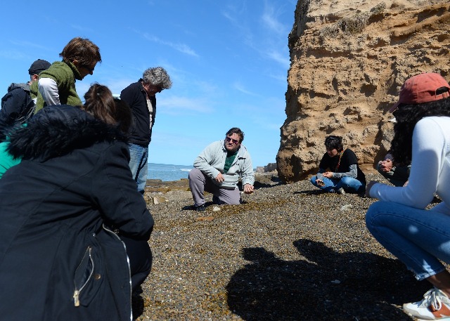 Se suma un nuevo hallazgo para el patrimonio paleontológico de Mar del Plata