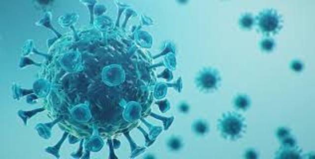 Están aumentando los contagios: casi 40 casos activos de coronavirus 