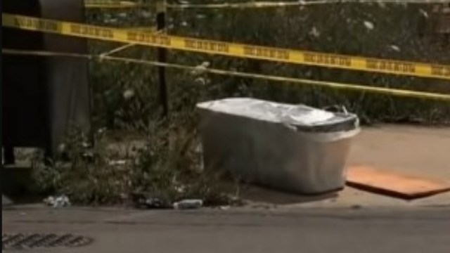 Terrible asesina tu prima: escondió el cadáver en un tacho y escribió mensajes desde el celular