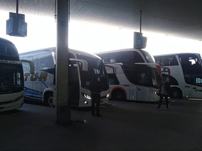 Operativo regreso seguro: fuerte presencia de controles en la terminal y rutas