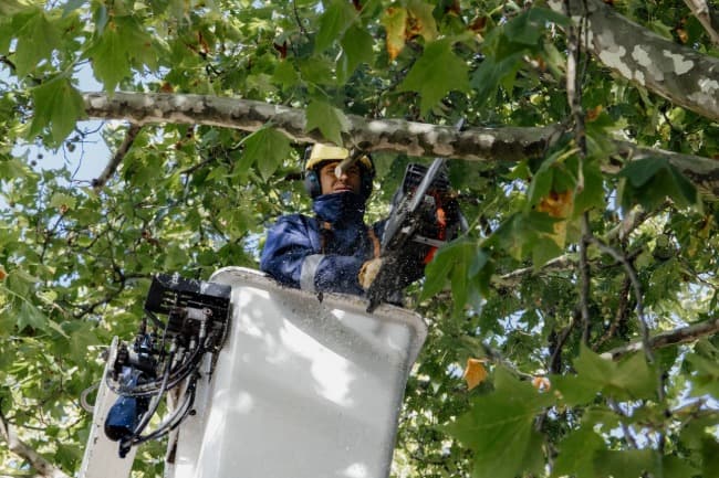 Leia El Municipio puso en valor la Plaza Peralta Ramos