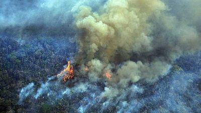 El humo del voraz incendio en el Amazonas llegará este miércoles a Mar del Plata