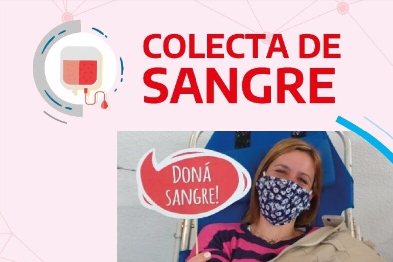 El obispado de Mar del Plata realizará una colecta de sangre