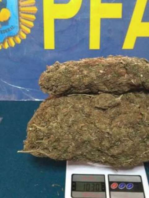 Alumnos tenían un kilo de marihuana escondido en un locker del colegio