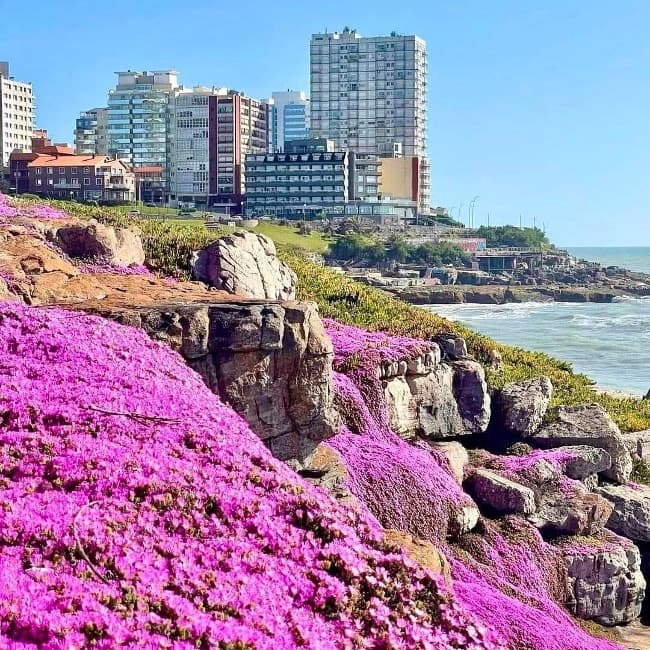 Clima de Sábado: Templado y con una máxima de 23°C 