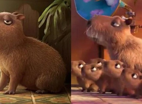 Estrenarán una película protagonizada por un carpincho