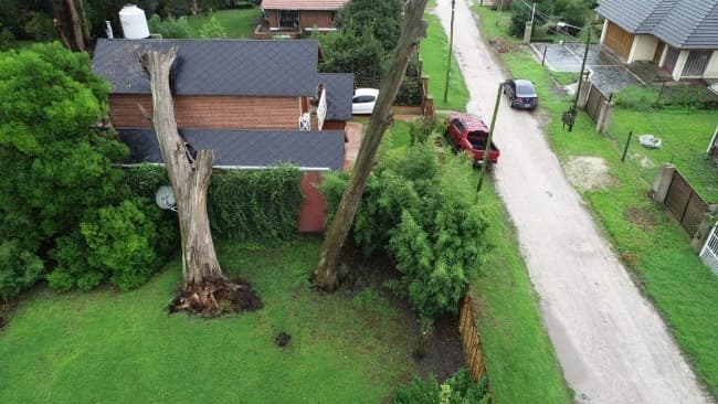 Saldo del temporal: un árbol atravesó el techo de una casa