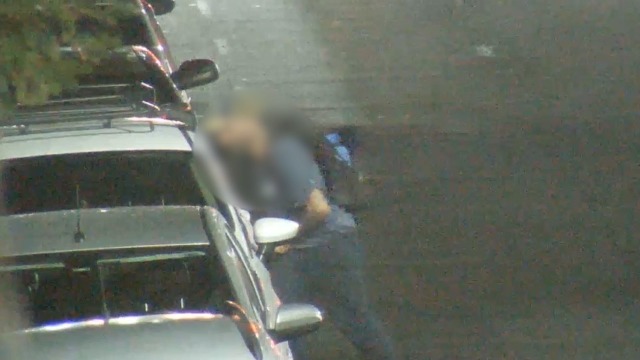 Las cámaras del COM posibilitaron la detención de un sujeto mientras robaba un vehículo