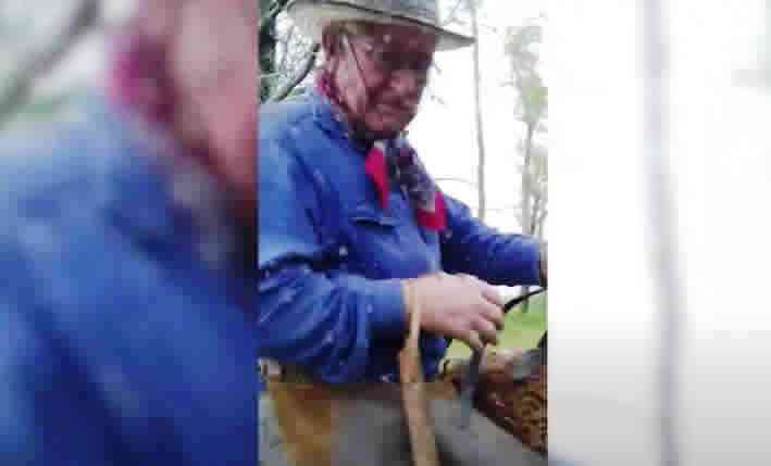 Video: una plaga de mosquitos ataca a trabajadores en el campo