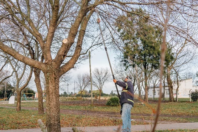 El Municipio continúa trabajando en la mejora de los espacios públicos