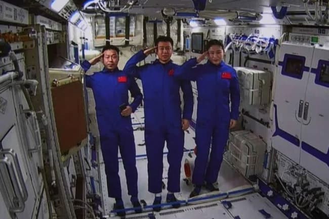 Semillas de olivo procedentes de una estación espacial de China germinan en la Tierra