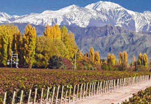 Mendoza: alerta por el avance de la cepa de Manaos