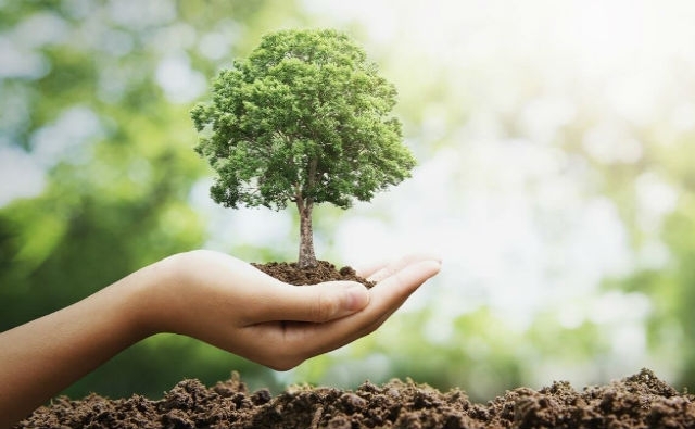 El Uthgra Sasso Hotel organiza una jornada de forestación abierta a empresas y la comunidad