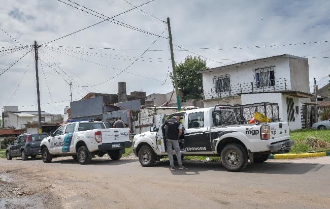 Rescatan dos nuevos animales víctimas de maltrato del barrio El Progreso