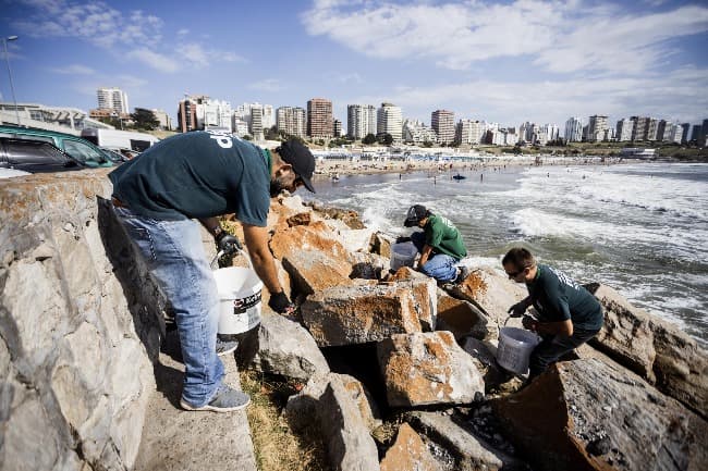 El Municipio realiza tareas de desratización en distintos puntos de la ciudad