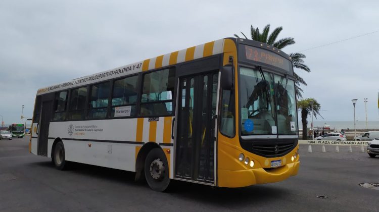 Se restablecerá el servicio nocturno de colectivos en Mar del Plata