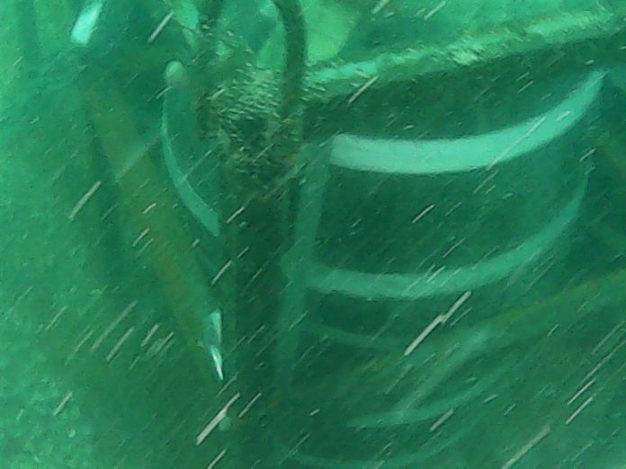 Se robaron los barriles de cerveza que estaban en el fondo del mar