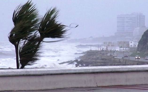 Agarrate fuerte: se esperan ráfagas de 60 km/h para este sábado