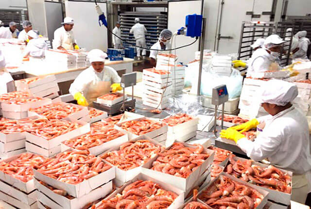 Reducen las retenciones a la pesca para promover la exportación