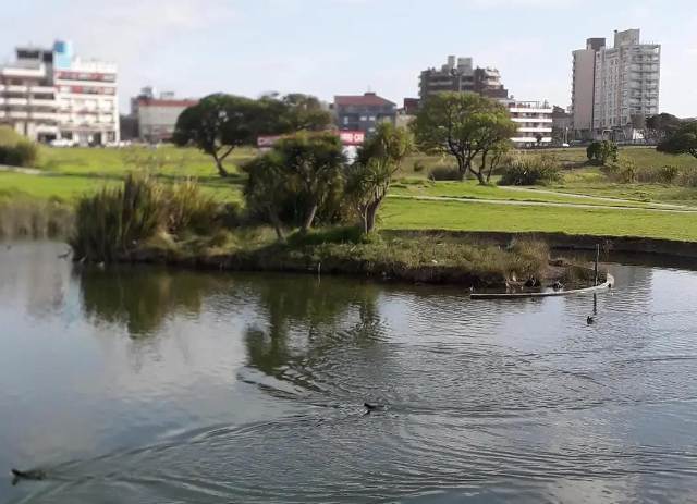 Crearán un importante Parque Ambiental en Punta Mogotes