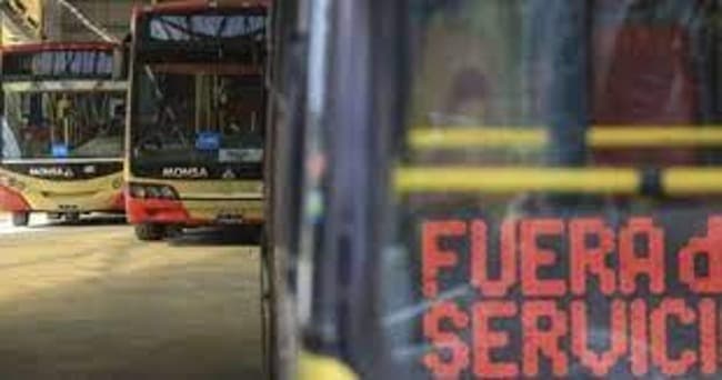 Rige el paro de colectivos en el interior por 48 horas: dónde no habrá servicio