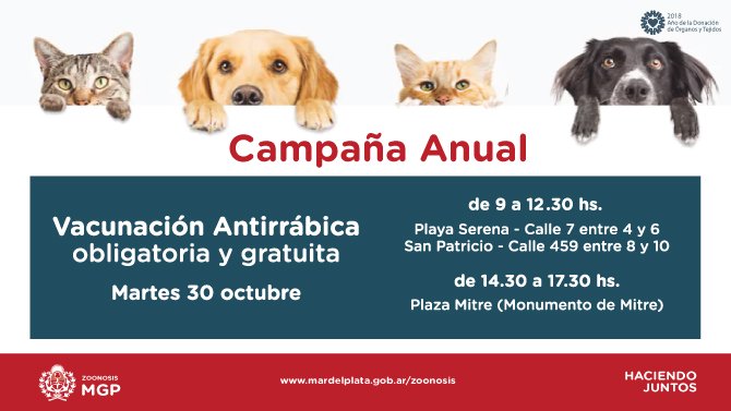 Comienza la campaña gratuita y obligatoria de vacunación antirrábica para perros y gatos