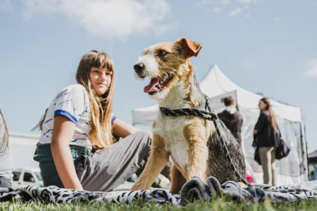 Leia Nuevas ubicaciones de los quirófanos móviles para animales