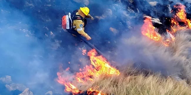 Leia Chubut: un nuevo foco de incendio se originó en Puerto Madryn