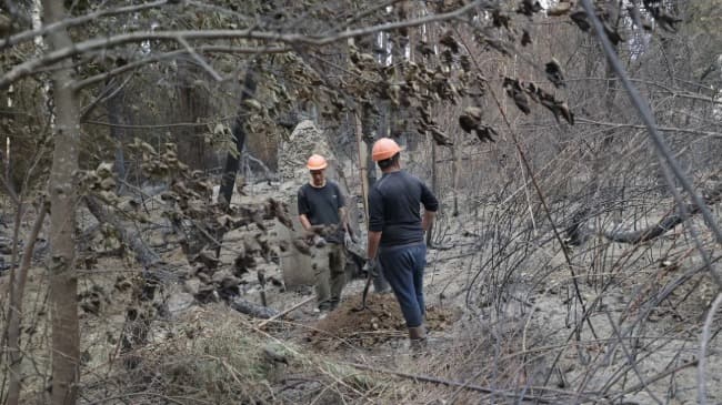 Continúan los refuerzos de combate del incendio en El Bolsón