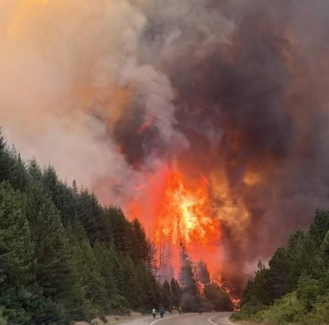 Leia Incendios en Chubut: cortaron la ruta 40 por el avance de las llamas 