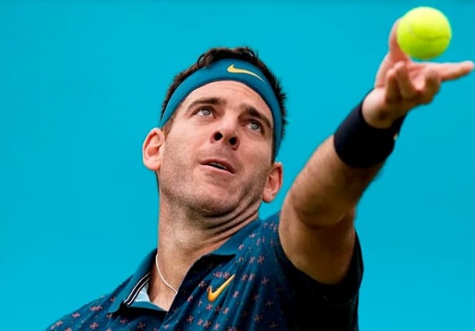 Juan Martín del Potro vuelve a jugar