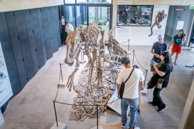 Actividades en el Museo Scaglia: muestras, talleres y ciencia para toda la familia