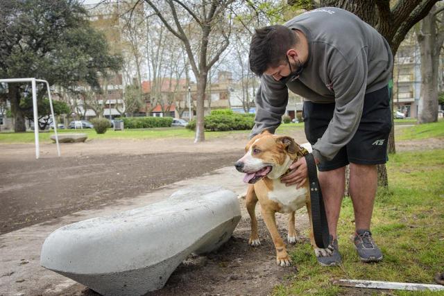 Nuevas ubicaciones de los quirófanos móviles para animales