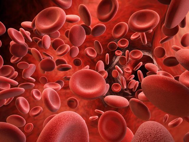 Hemofilia: a quiénes afecta esta enfermedad genética