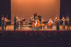 La Camerata Mar del Plata se presentará en el Teatro Colón
